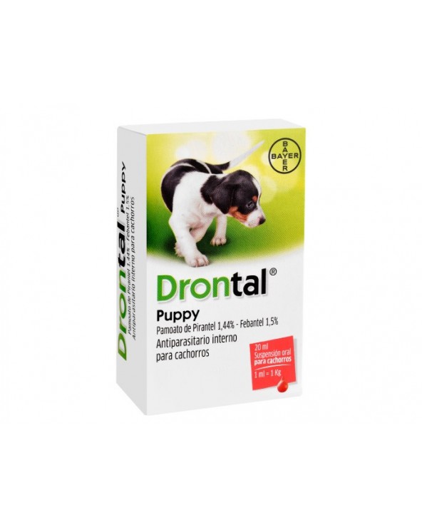 DRONTAL PUPPY